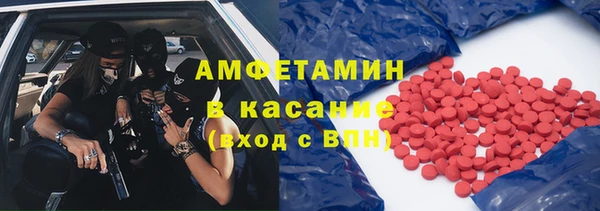 гашик Пестово