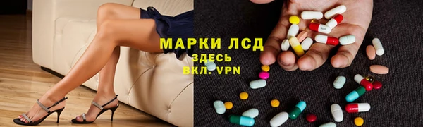 гашик Пестово