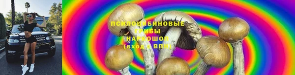 гашик Пестово