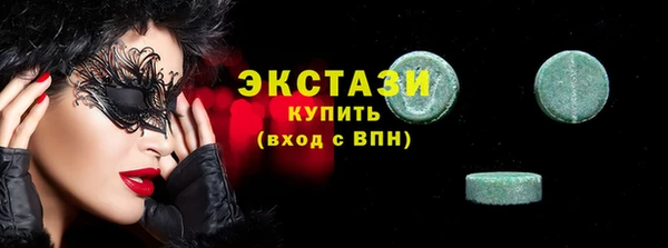 гашик Пестово