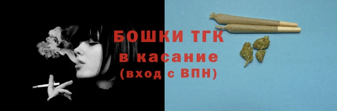 шишки Пересвет