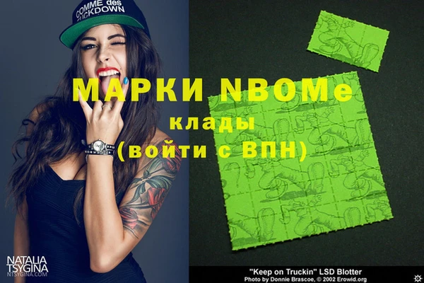гашик Пестово