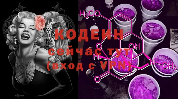 гашик Пестово