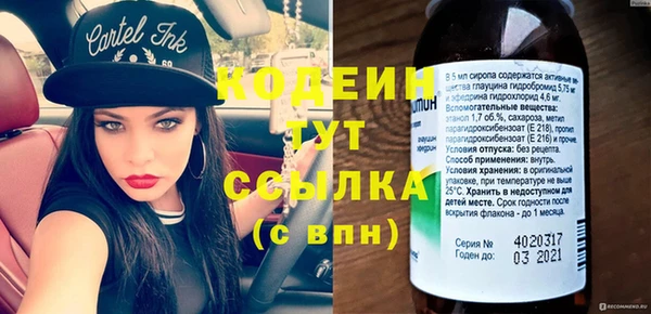 шишки Пересвет