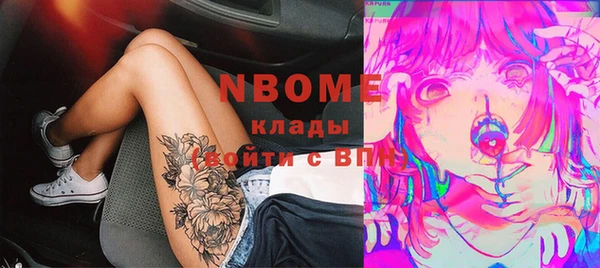 шишки Пересвет