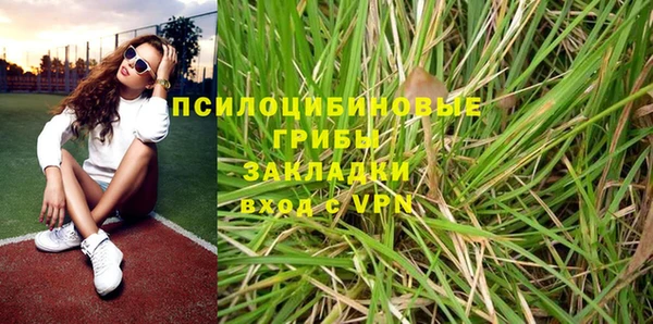 гашик Пестово