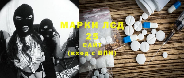 шишки Пересвет