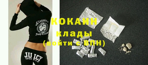 шишки Пересвет