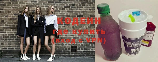 шишки Пересвет